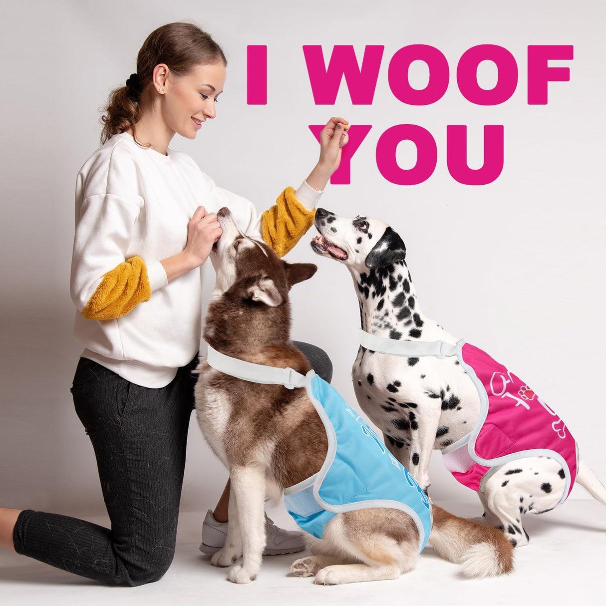 Pañales sanitarios para perros tirantes ajustables, pack 3