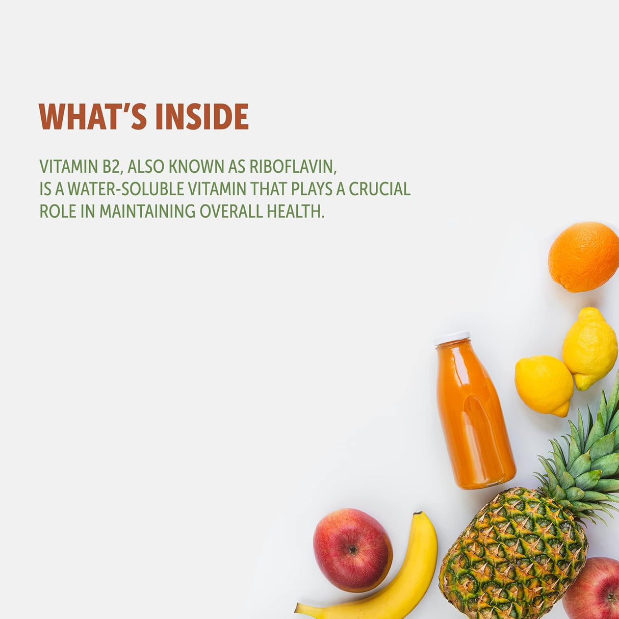 Suplementos Alimenticios Vitamina B2 400 mg 180 cápsulas