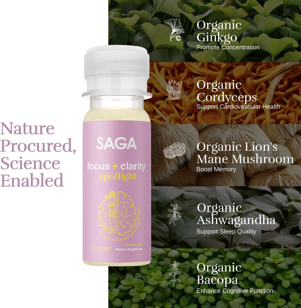 SAGA Focus Shots: Nootrópicos y Adaptógenos - 6 Paquetes