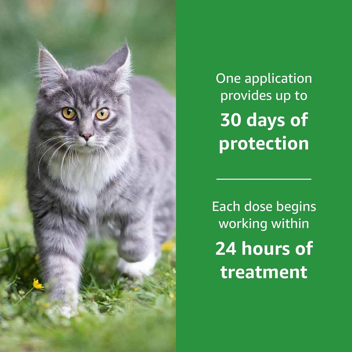 Tratamiento Antipulgas Solimo tratamiento tópico de pulgas