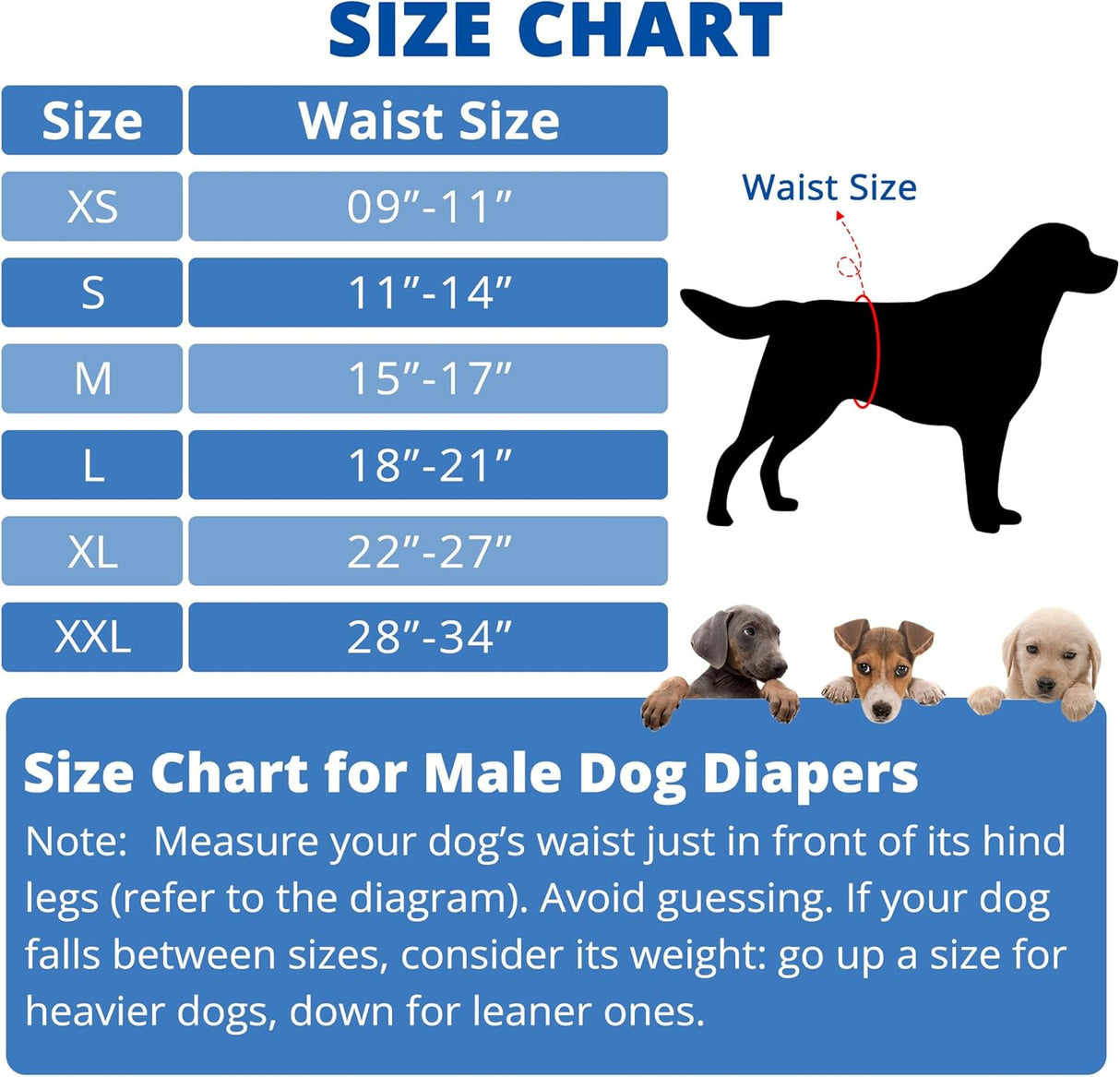 Paw Legend Pañales lavables (paquete de 3, S) perros