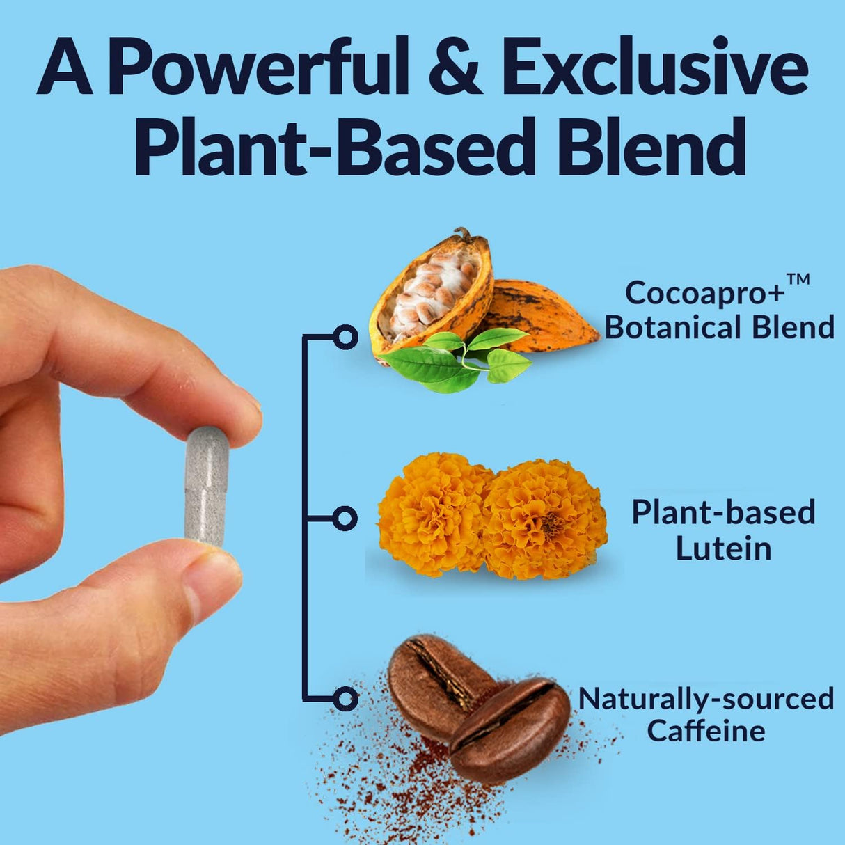 Suplementos Alimenticios cerebral 30 días mezcla de cacao