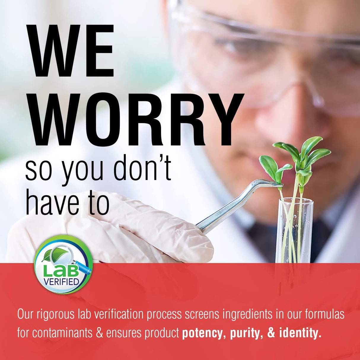 Suplementos Alimenticios de apoyo para la vesícula biliar