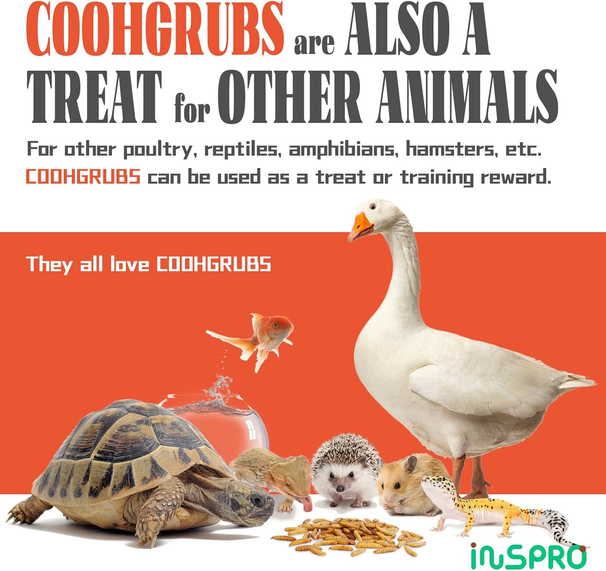 Larvas de mosca secas de alta calidad, para gallinas y demas