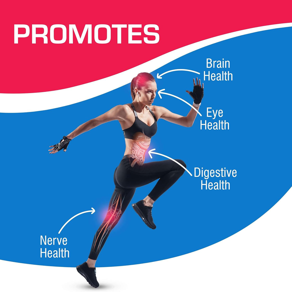 Suplemento Multivitamínico diario para hombres y mujeres