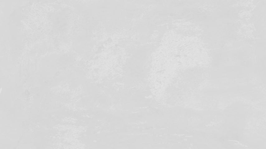 Chaqueta salvavidas para perro