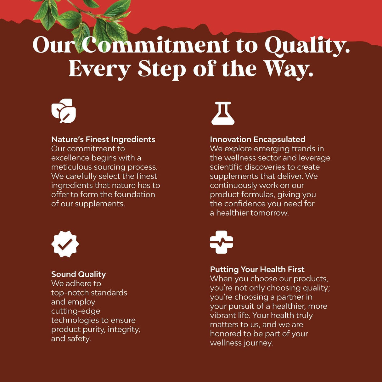 Suplemento de vinagre de sidra de manzana nutricionales