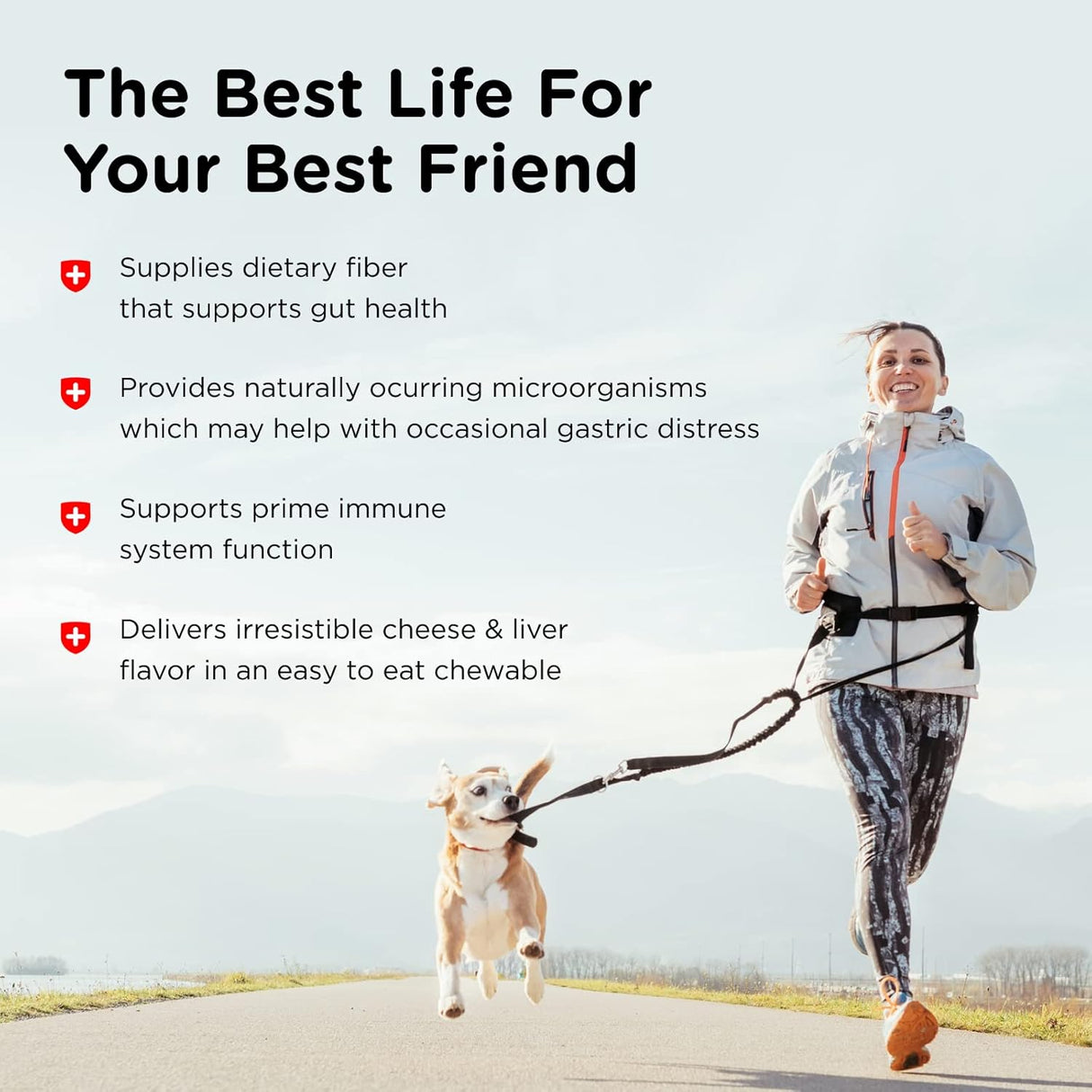 Vitaminas suaves pre y probióticos para perros