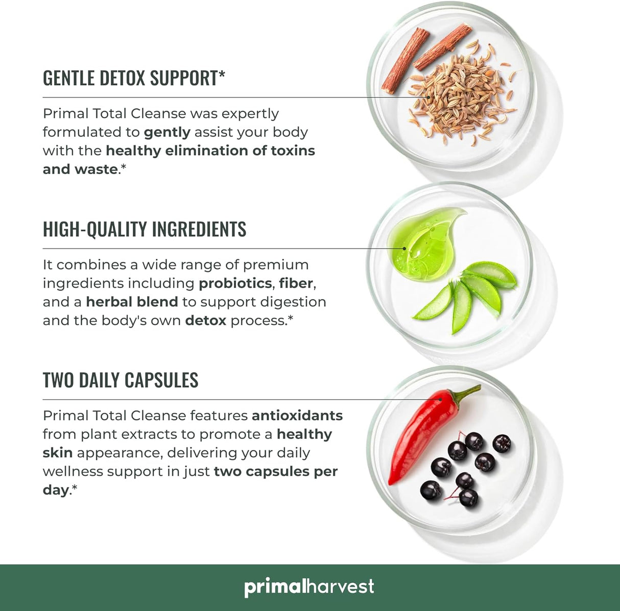 Limpieza de desintoxicación de cuerpo completo