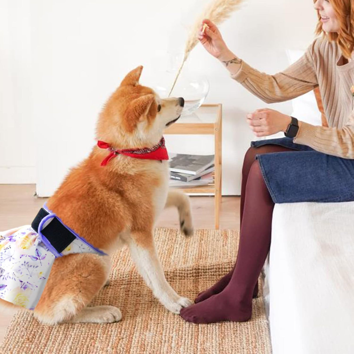 Leekalos Pañales reutilizables para perro fáciles de poner