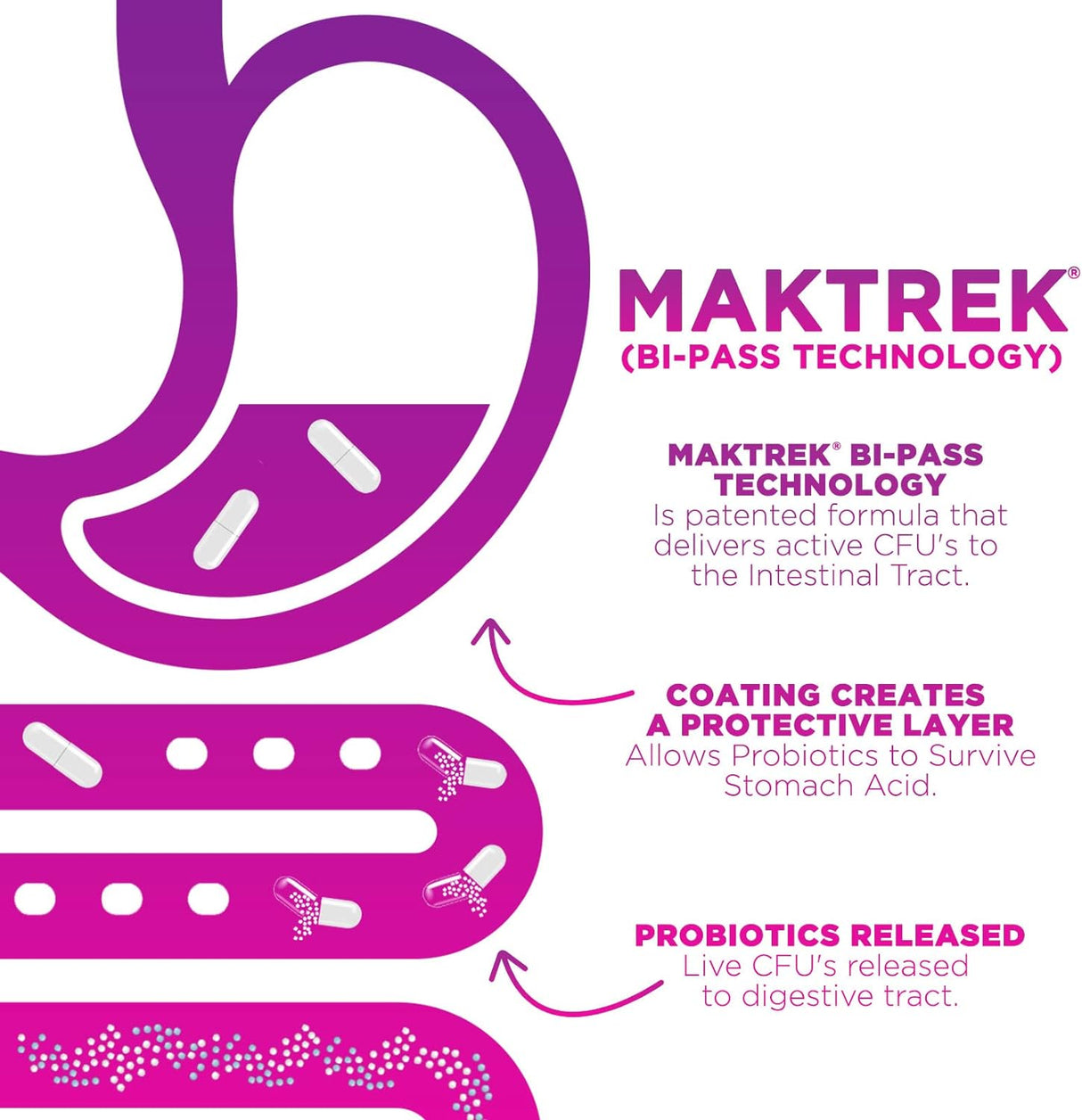 Suplemento Probióticos con prebióticos para apoyo a la salud