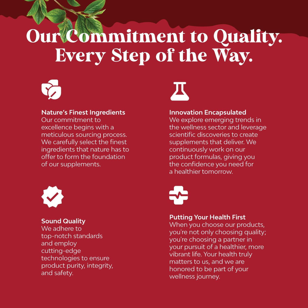 Suplemento Limpieza Renal y Desintoxicación de Ácido Úrico