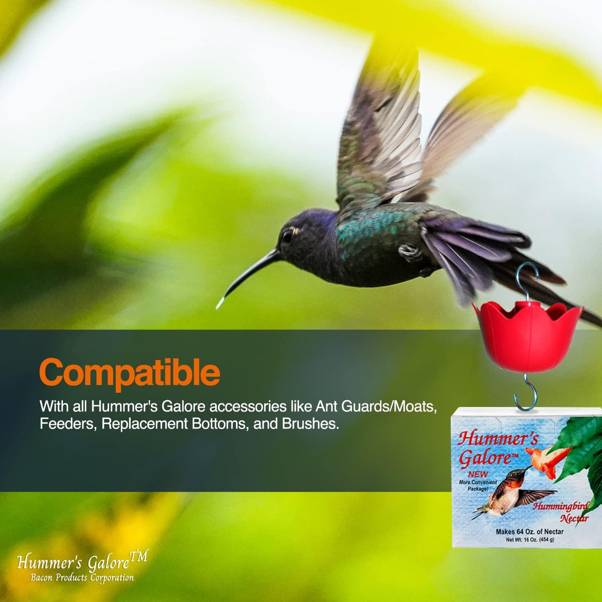 Comida o Néctar natural para colibríes saludables 4 paquetes