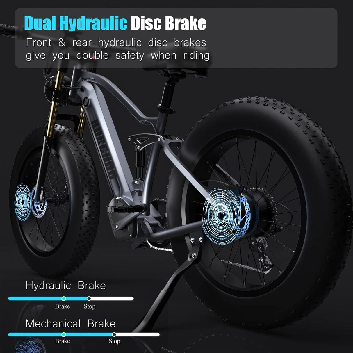 Bicicleta Eléctrica DAMSON 1000W 48V 30AH 26 Fat Tire Full Suspension