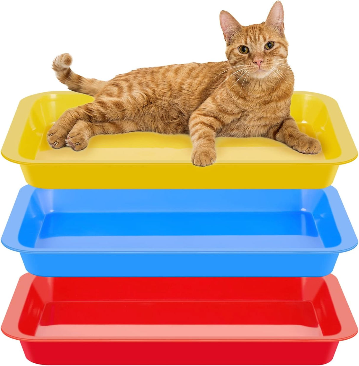 3 Cajas de arena para gatos Tessco multicolor