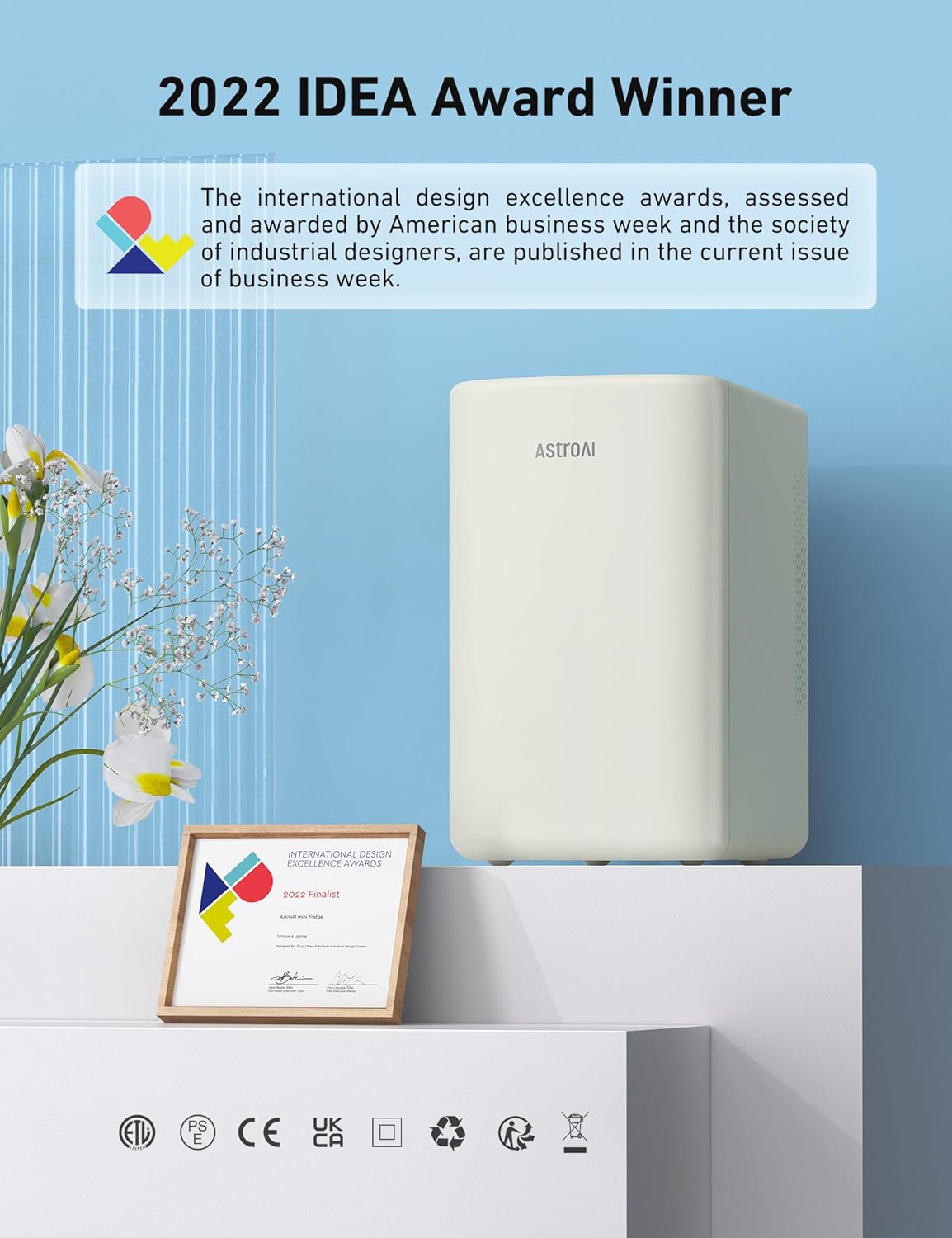 Mini Nevera AstroAI 2.0, 6 Litros, Portátil, Enfriador y Calentador