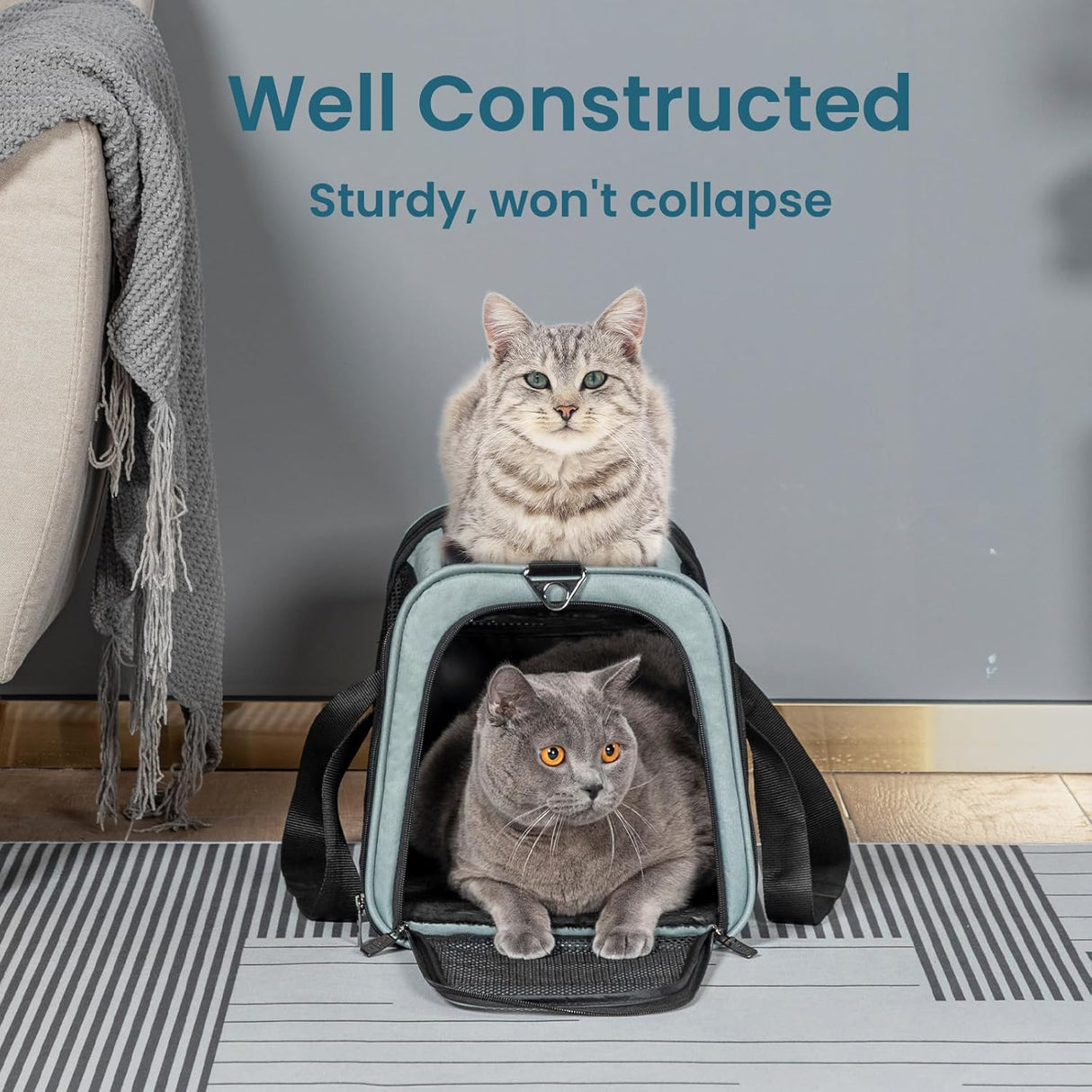 Transportador de perros gran capacidad ligero para viajes