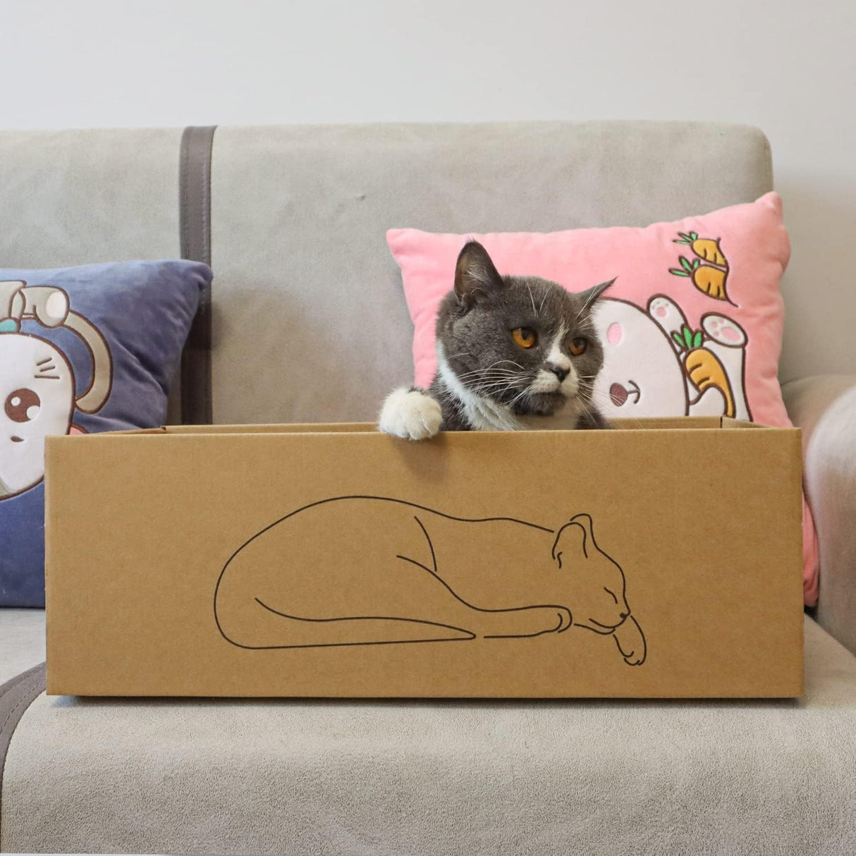 Almohadilla para rascar gatos con caja para gatos