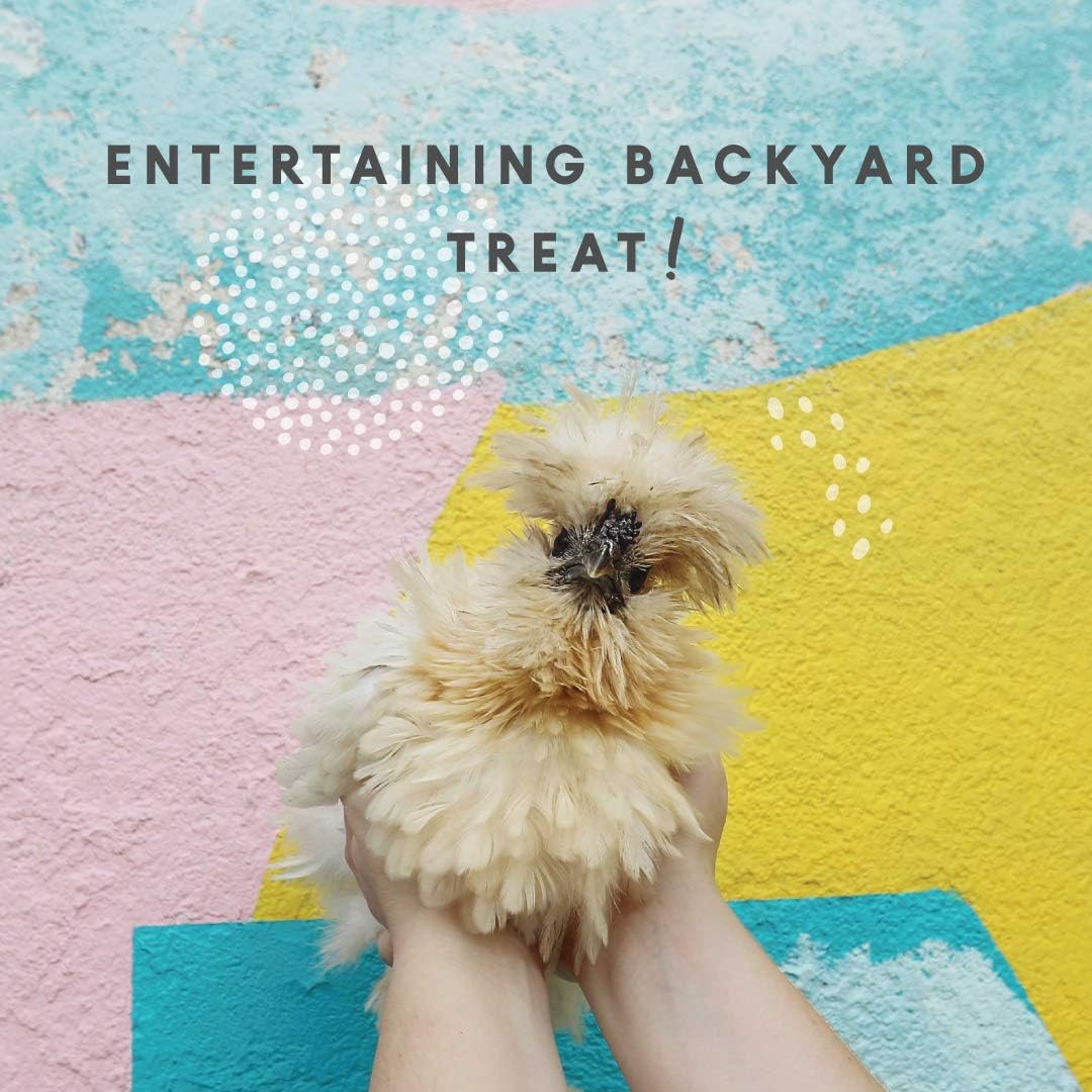 Alimento de grano para arañazos para pollos y otras aves