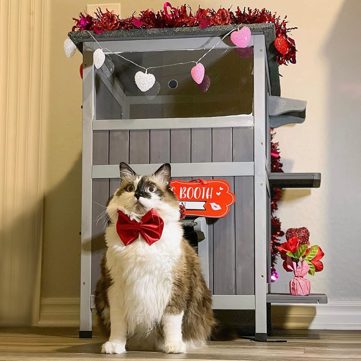 Casa de Gato Aivituvin, 2 Pisos, Puerta de Escape, Modelo 2-Story