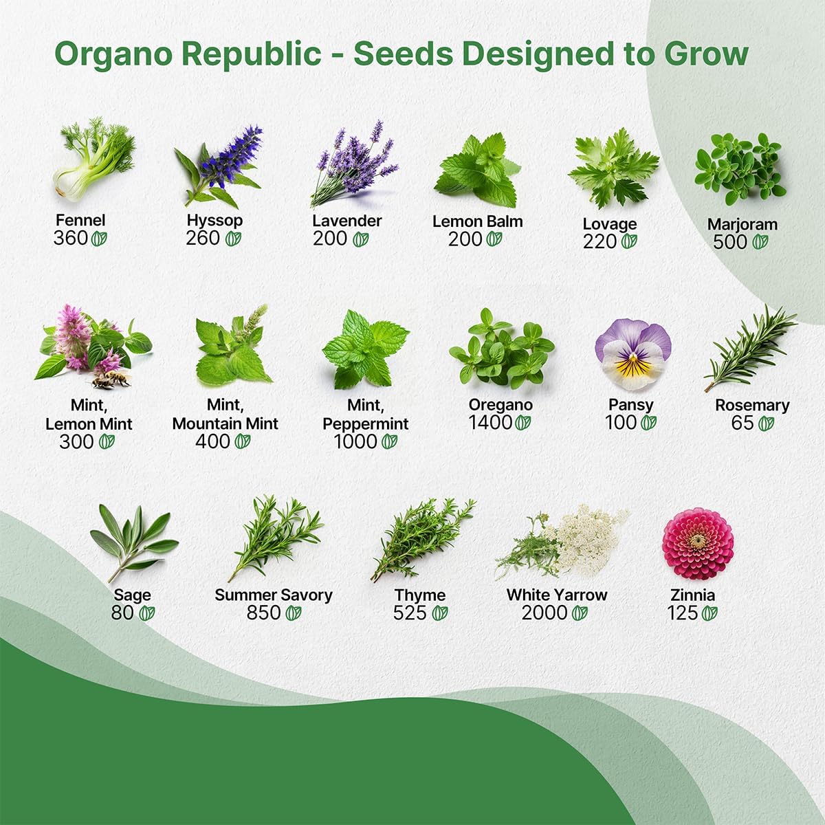 Pack de 35 Semillas de Hierbas Medicinales y Té - No GMO