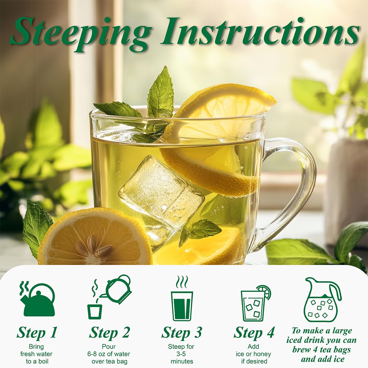 Té Verde WT WEETEE 100 Bolsa Antioxidante Reutilizable