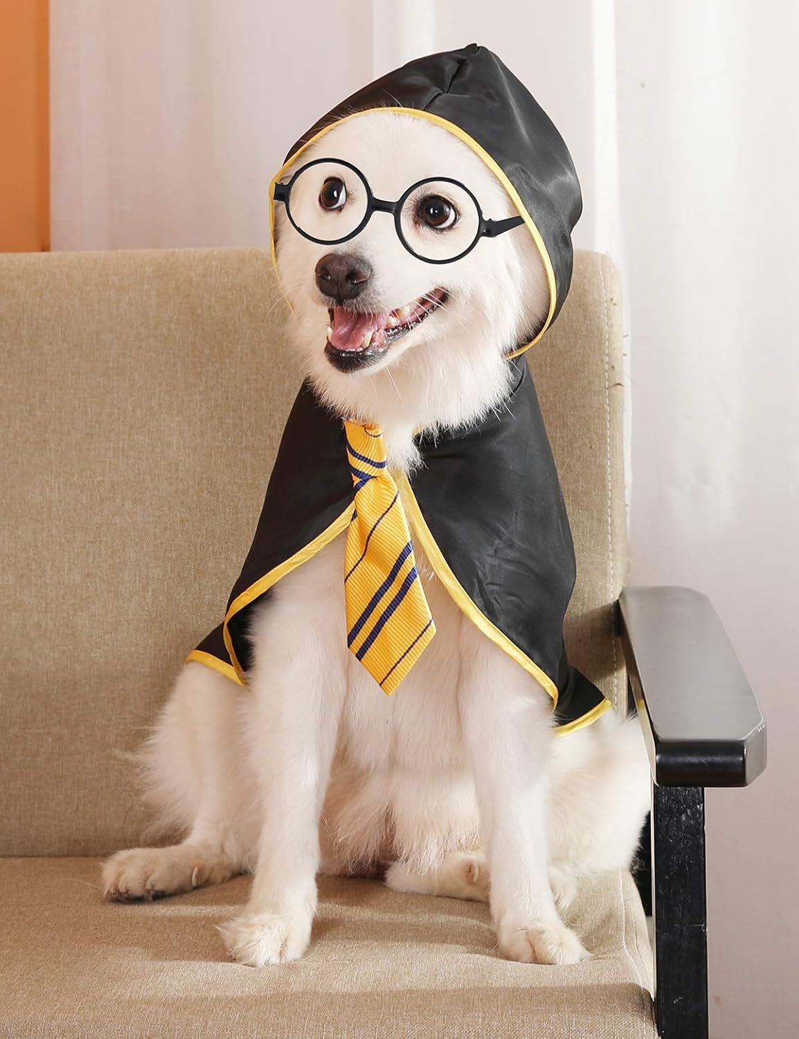 Disfraces con lentes para perros talla S