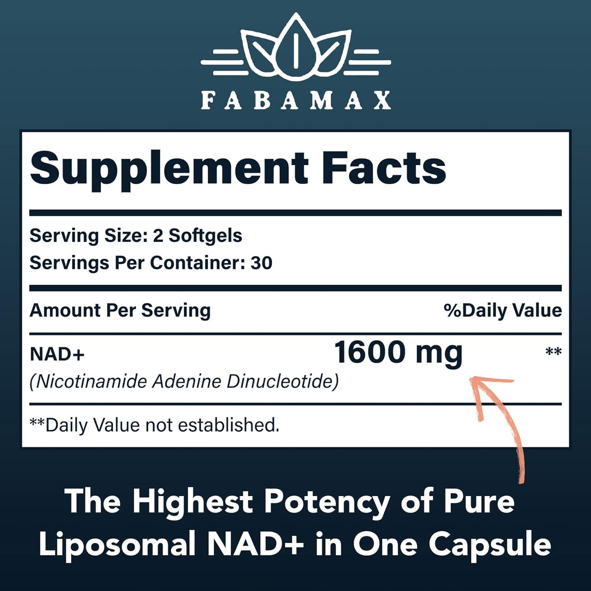 Suplemento liposomal de NAD de 1600 mg Rossylla