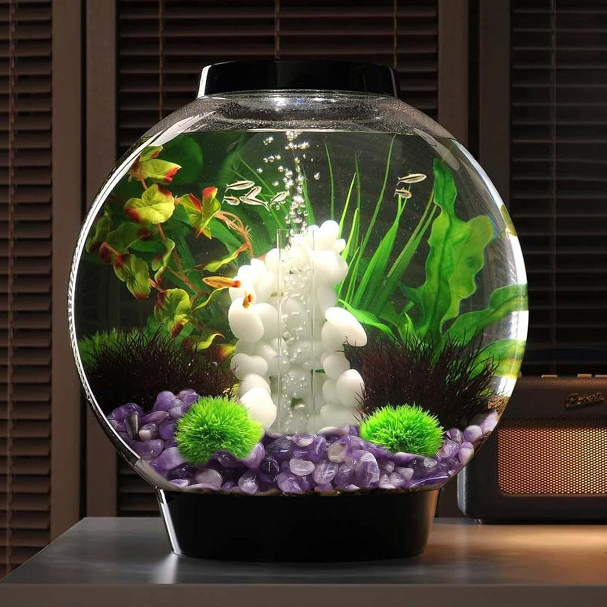 Piedras preciosas pulidas, cristales de rocas de 0.9 lb