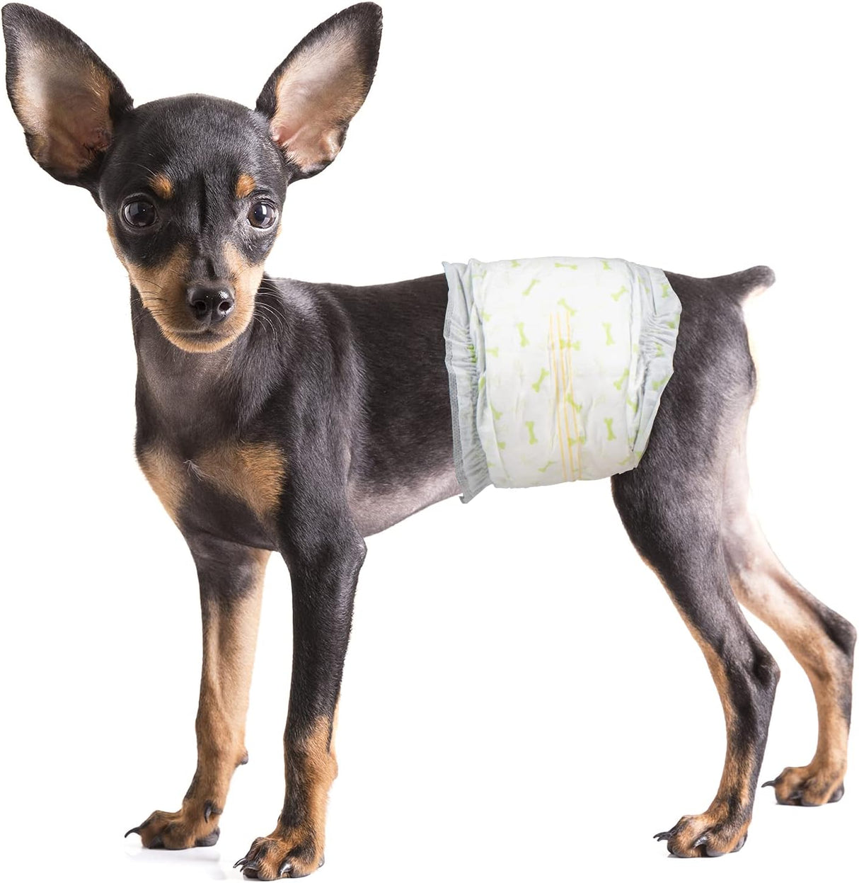 Pet Soft Pañales desechables perros machos tamaño pequeño