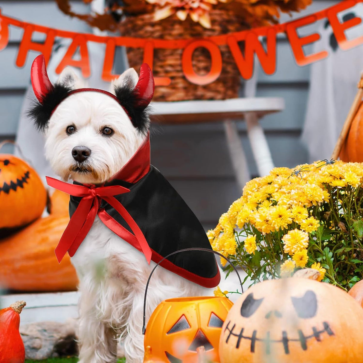 Disfraces 5 piezas de disfraz de Halloween talla única