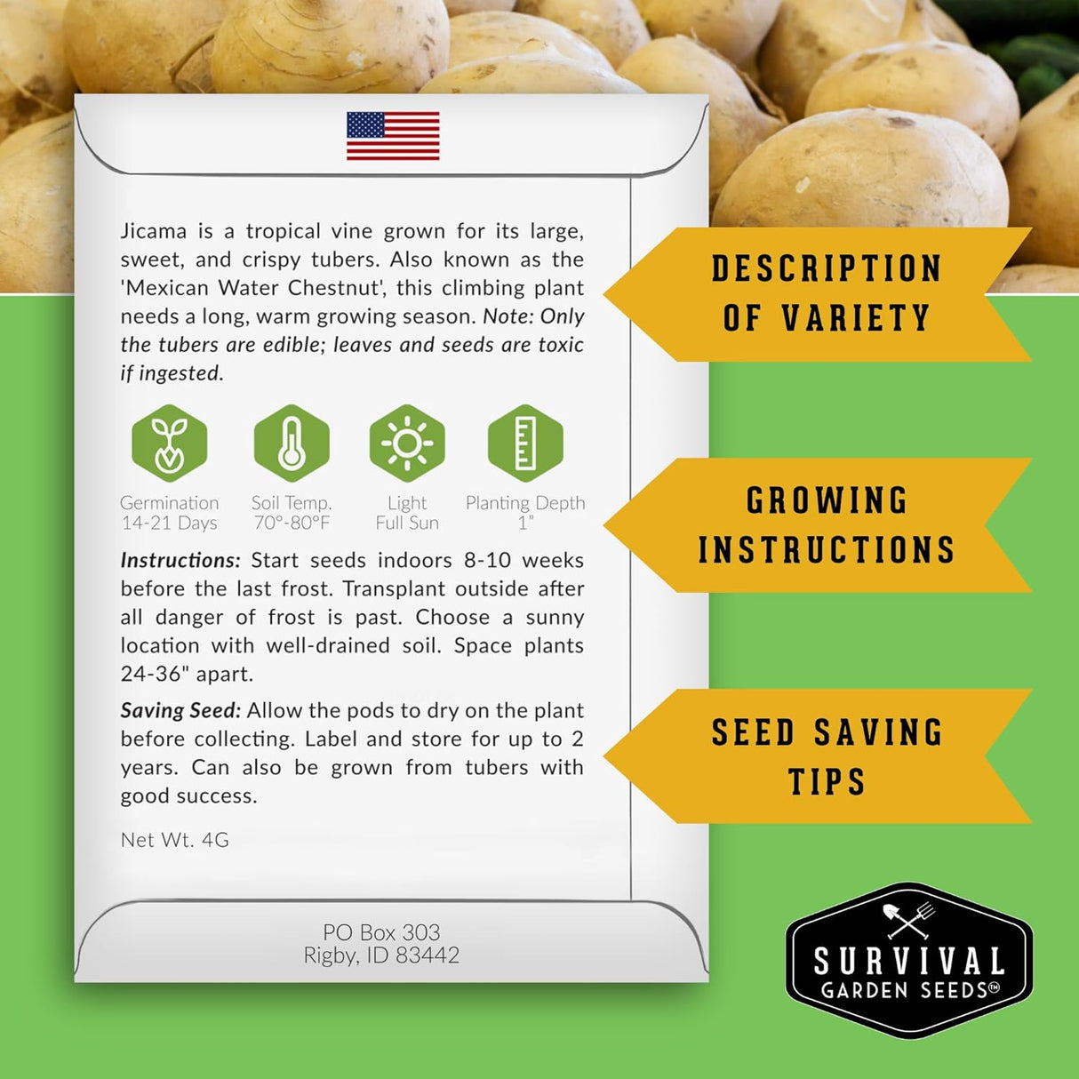 Semillas de Jícama - Heirloom, Resistente a la Sequía, 1 Paquete