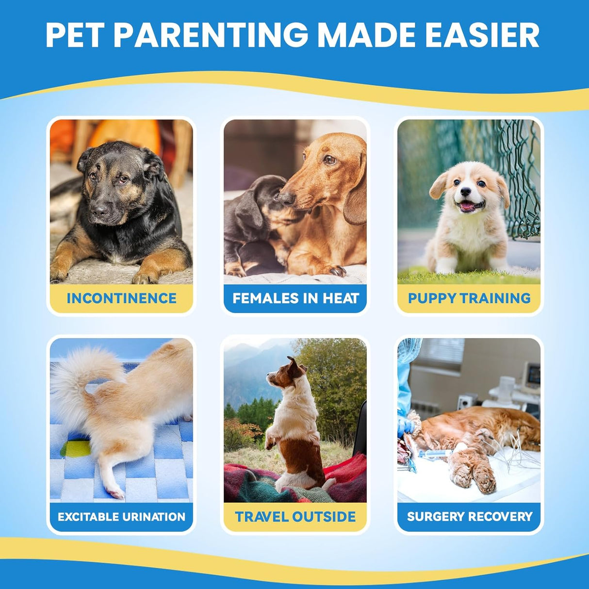 IMMCUTE Pañales para perras,30unidades,pañales súper absorbentes