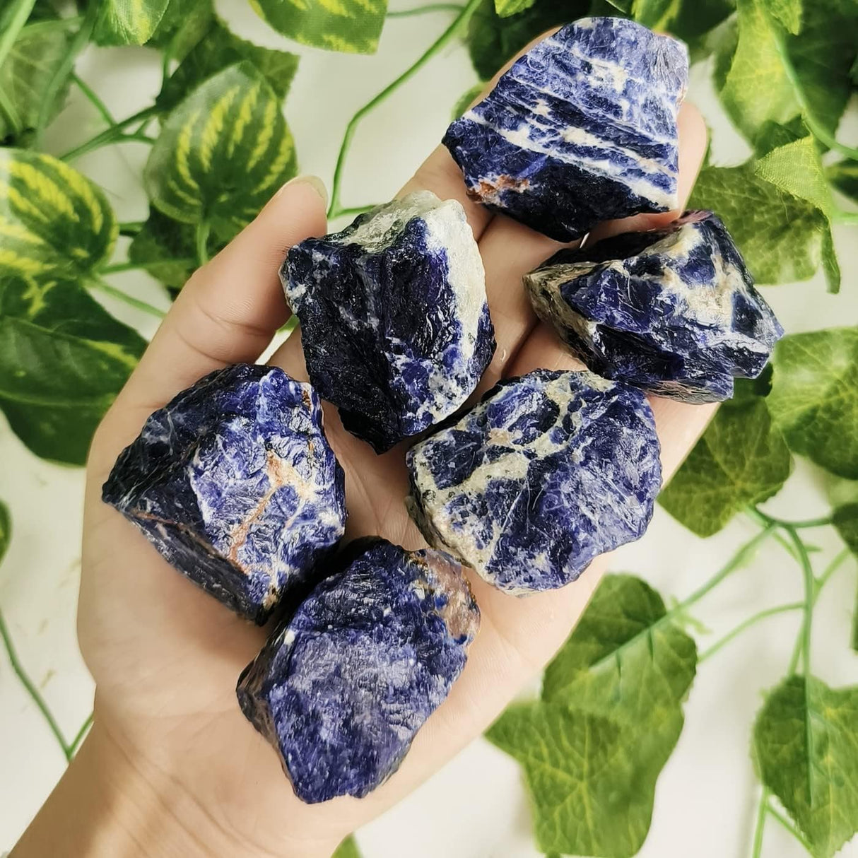 ZHIYUXI Cristales crudos de sodalita azul de 2 pulgadas, cristales