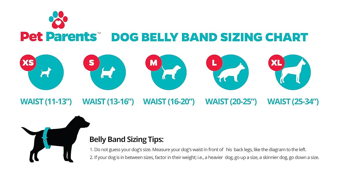 Bandas lavables para el vientre para perros