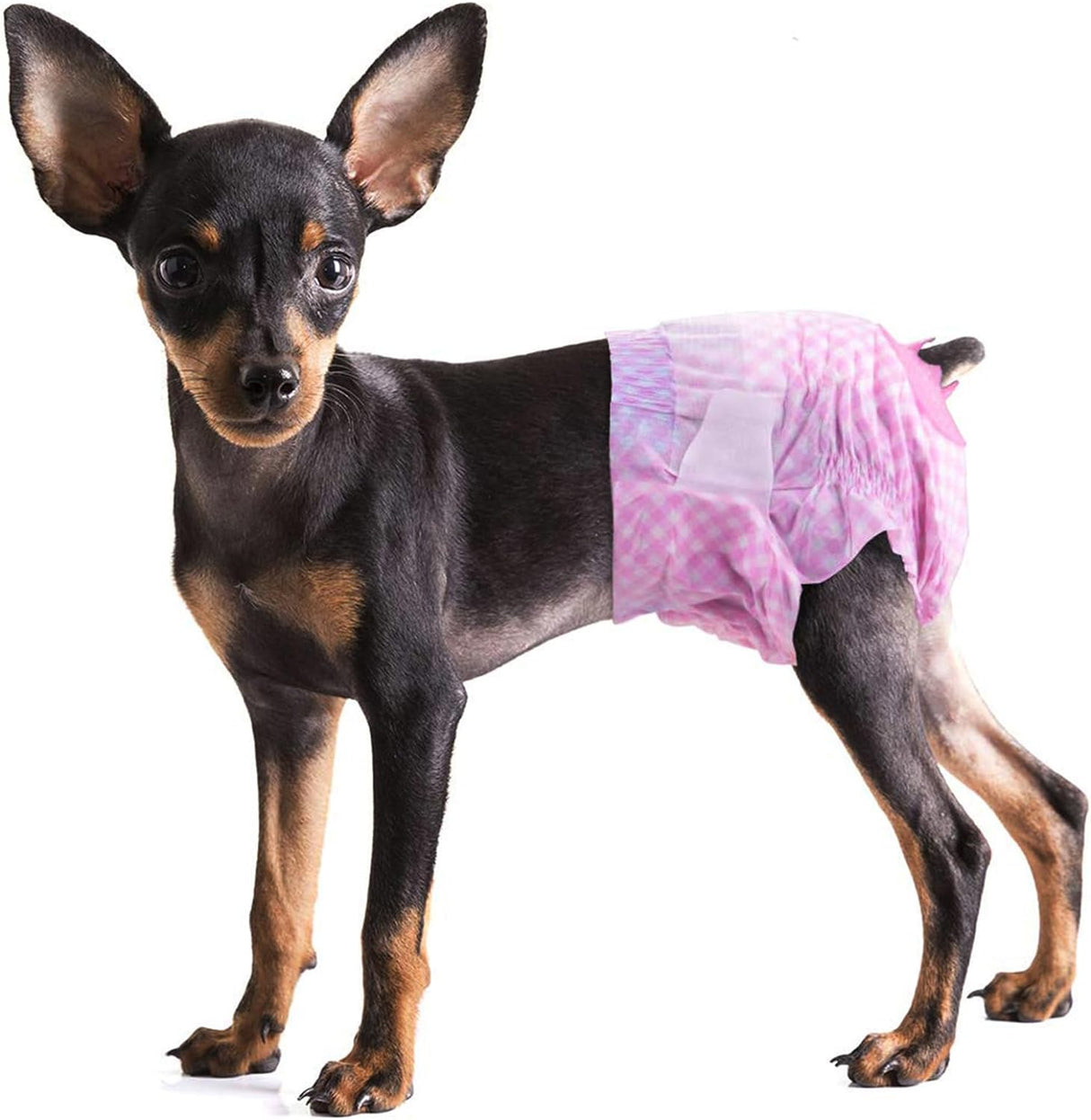 Pet Soft Pañales para perros femeninos –12 piezas (XS, rosa)