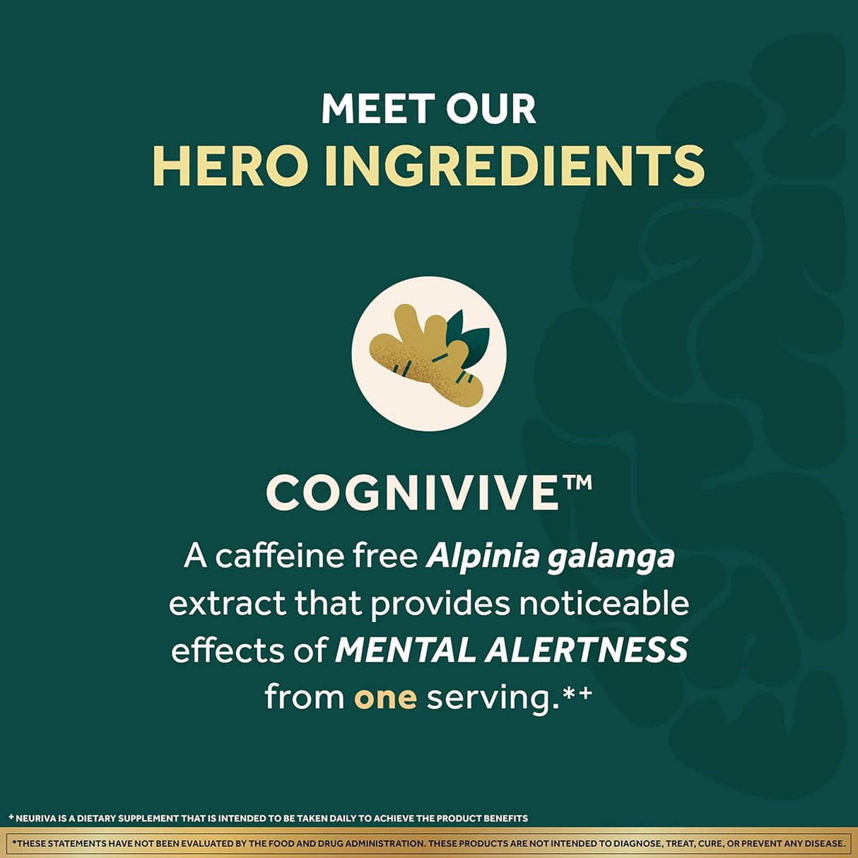 NEURIVA Ultra Decaffeinated Nootropic Brain Supplement, 60 Capsules