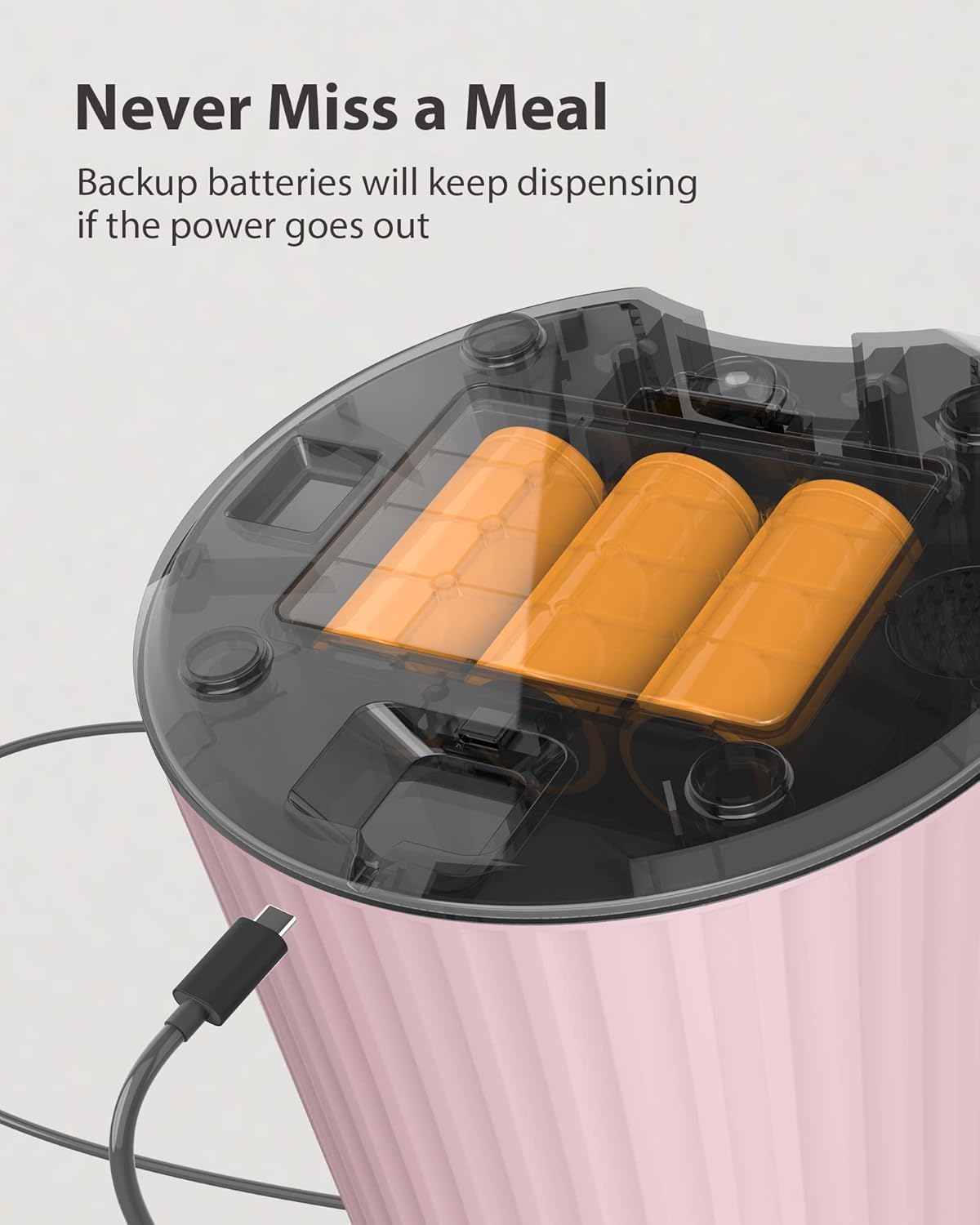 Comederos automáticos temporizados de gatos y dispensador