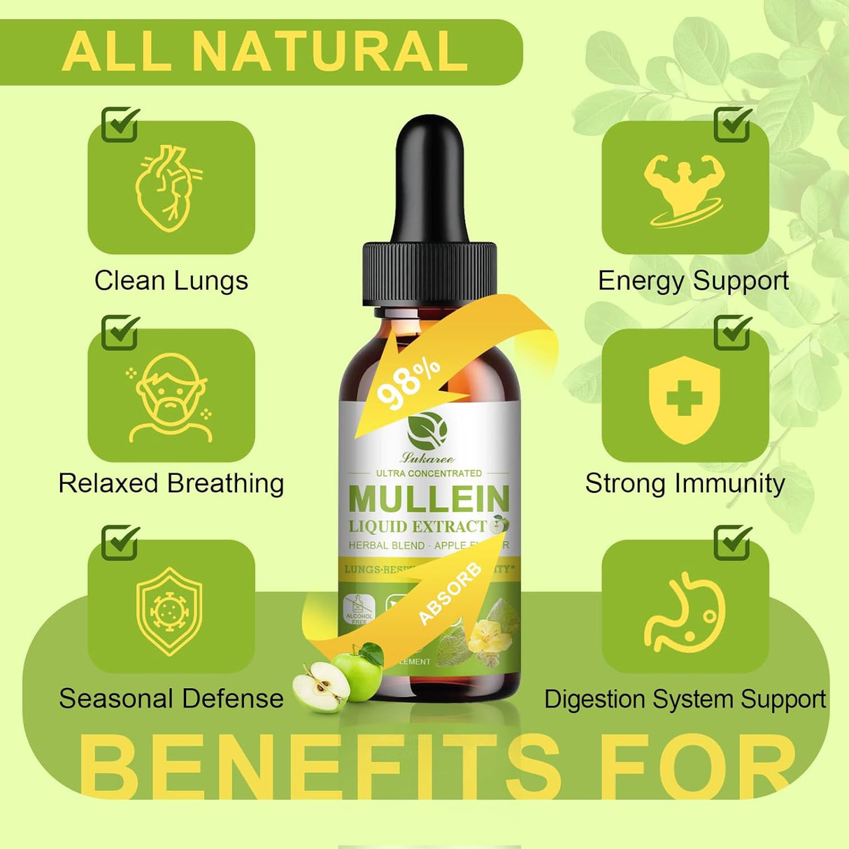 Suplemento de Gordolobo para Pulmones, Detox y Limpieza