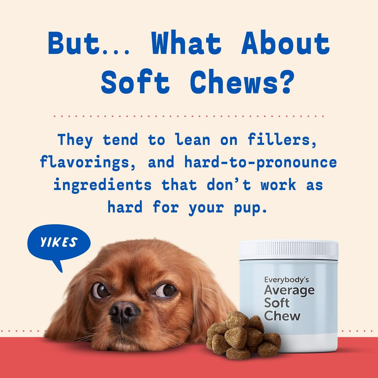 Vitaminas para perros en el mostrador Soporte de vejiga