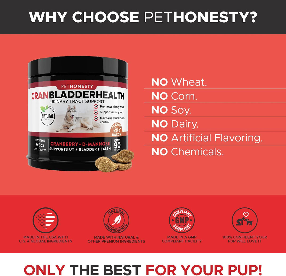 Vitaminas Arándano para perros Los suplementos para perros