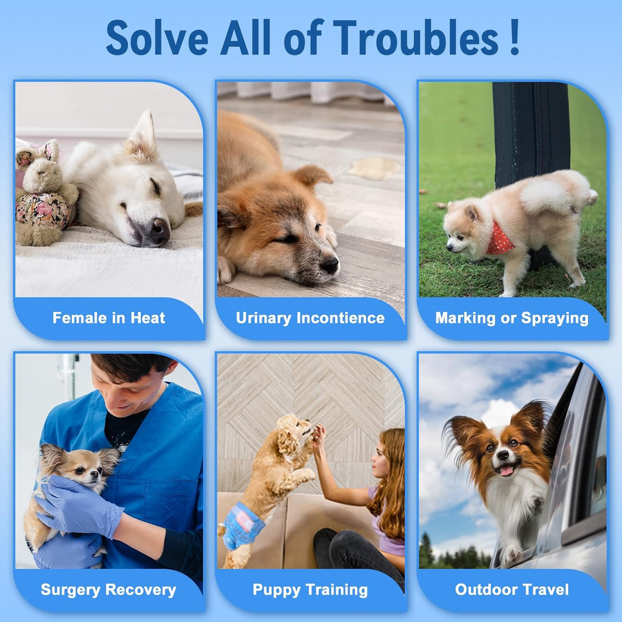 Pet Soft - Pañales desechables para perras, cachorras, gatas