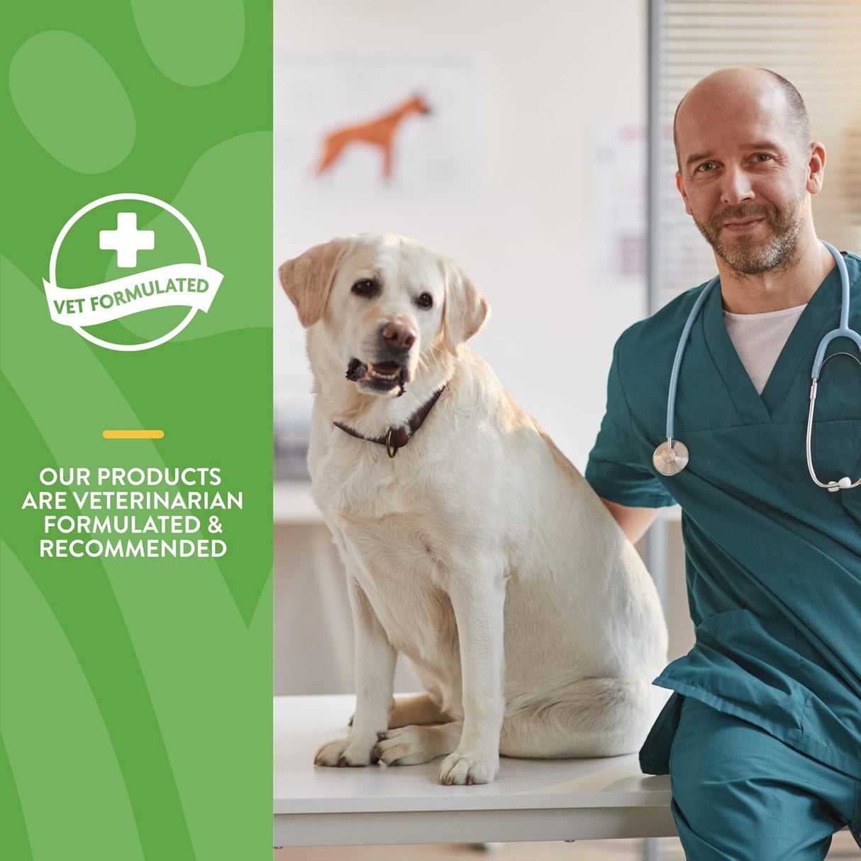 Vitaminas bocados suaves masticables para mascotas