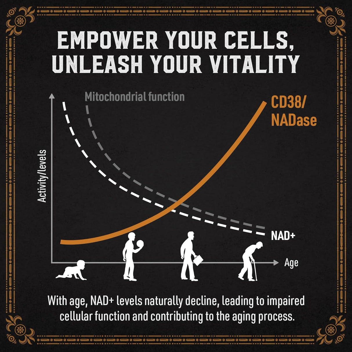 Suplemento liposomal NAD de 1800 MG Research Labs