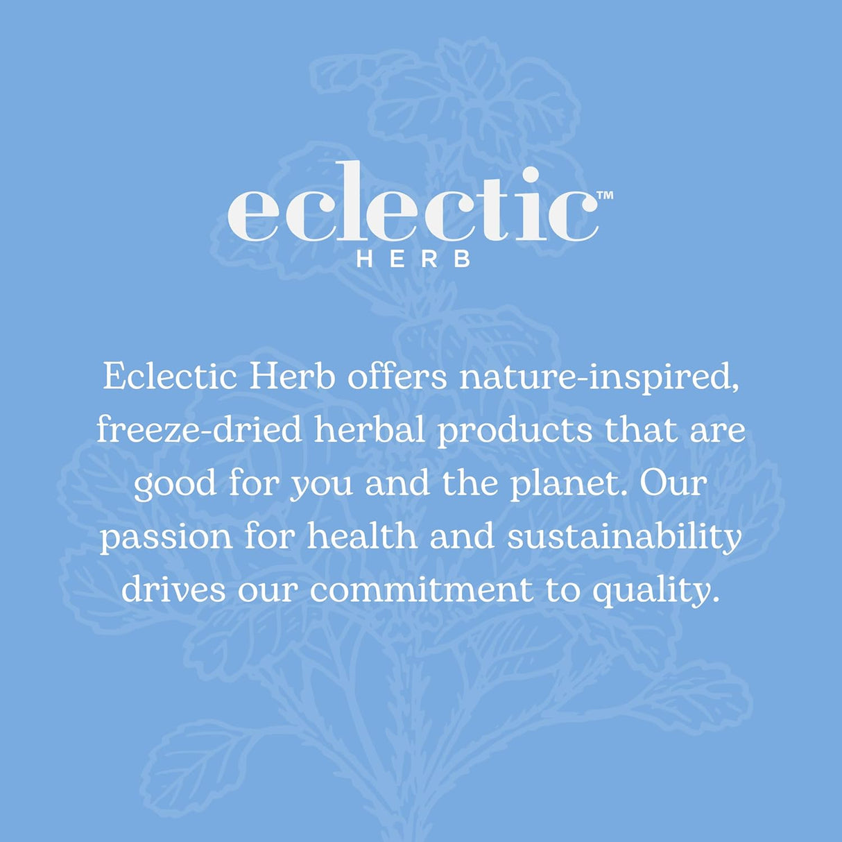 Nettle Root Eclectic Institute 90 CT Soporte Prostático y Urinario