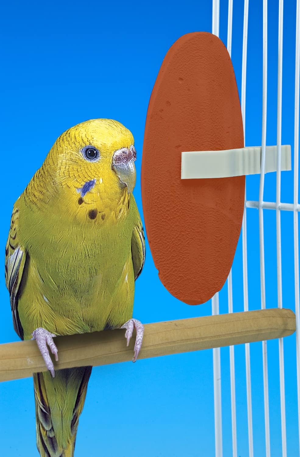 Alimento con sabor a mango y plátano ideal para las aves