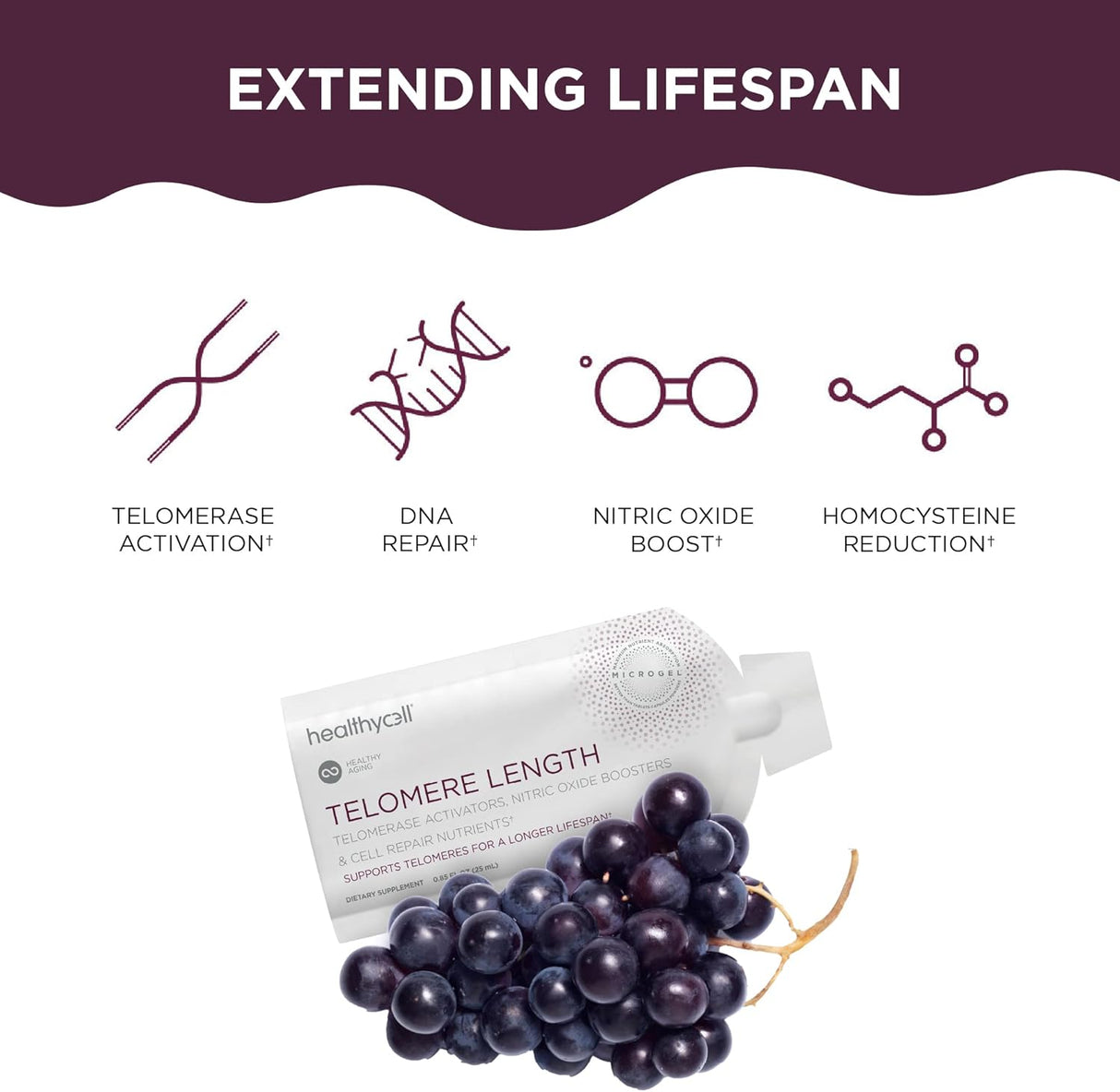 Suplemento antienvejecimiento reparación de ADN d 30 und