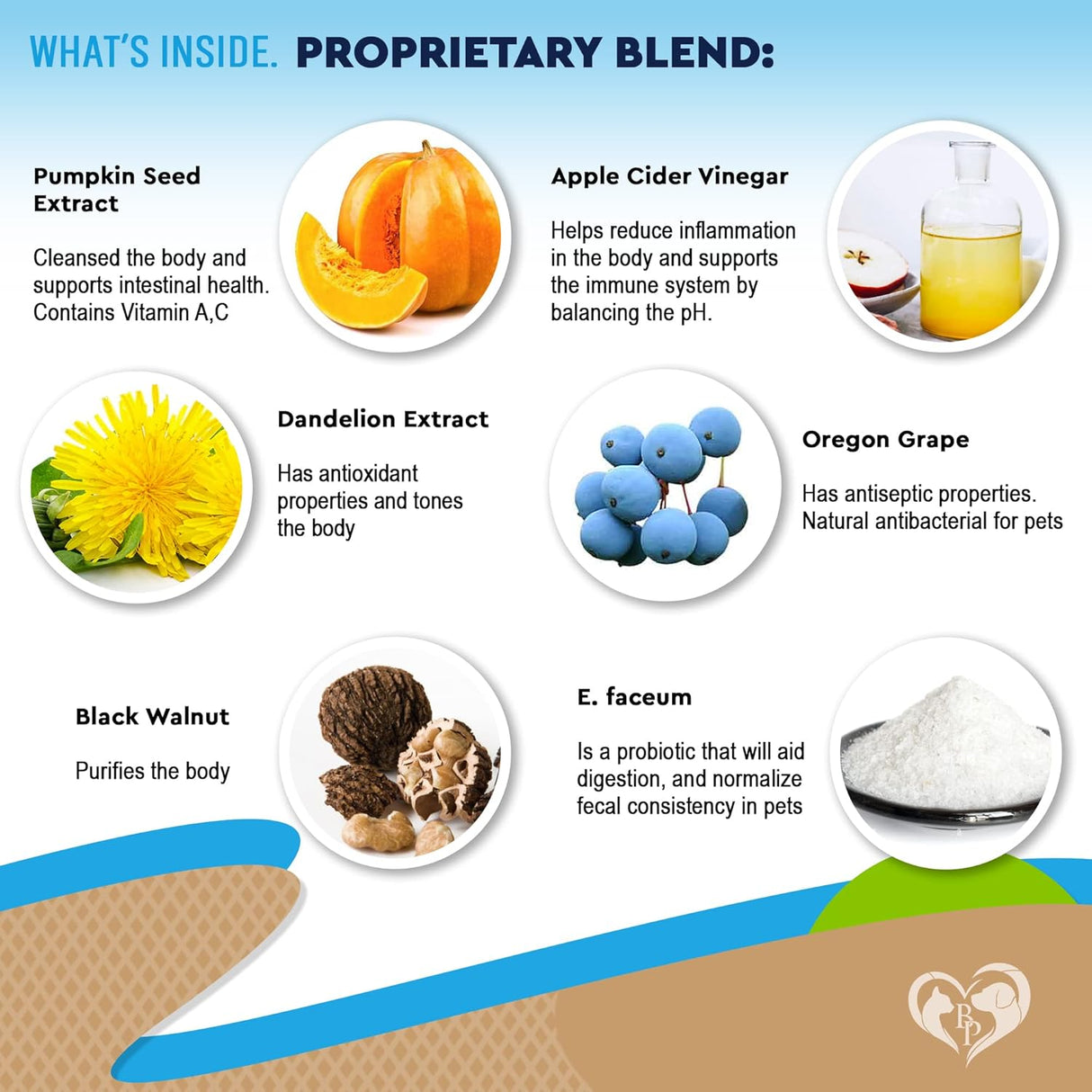 Suplementos natural para gatos con probióticos