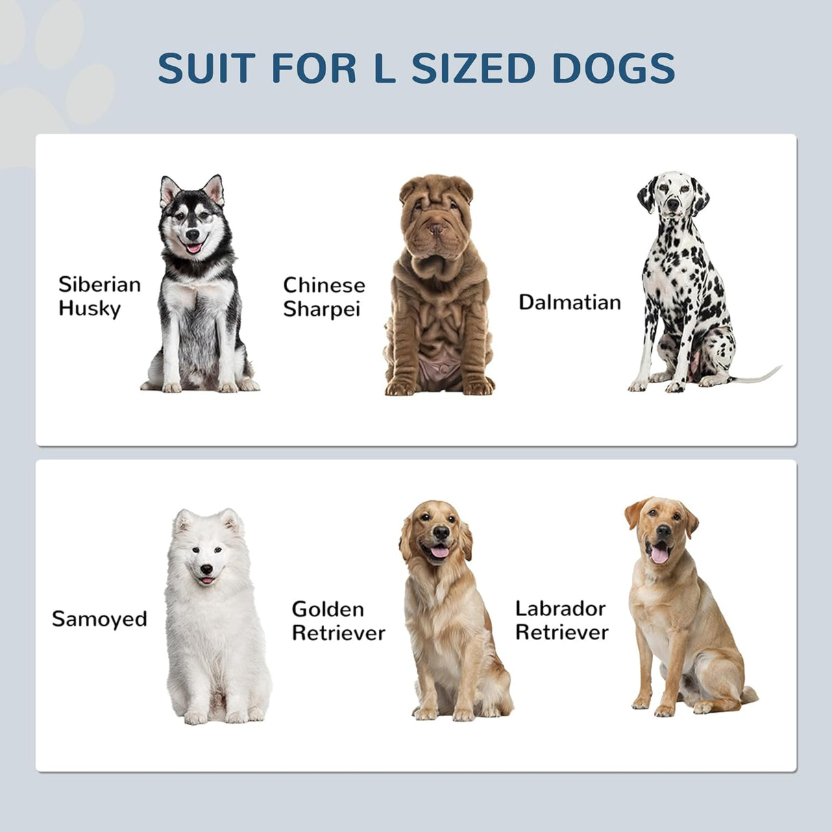 Cuencos elevados grandes para perros con armario PawHut