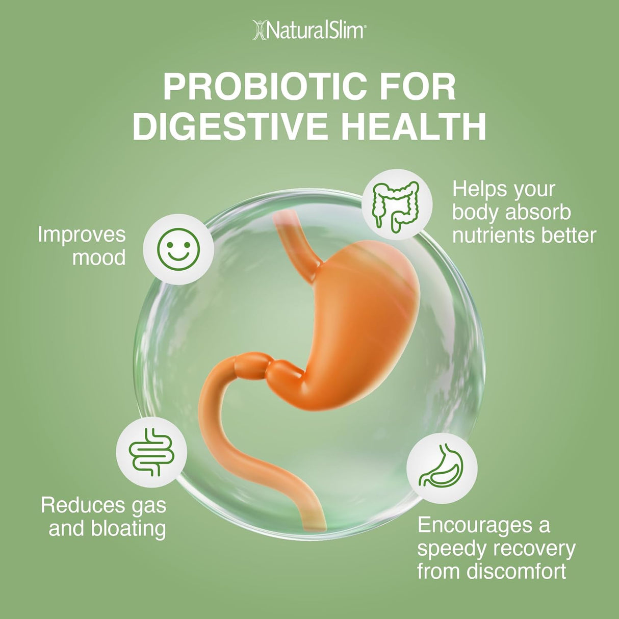 Proveedores de Good Flora – Probioticos Digestivos 60 Caps